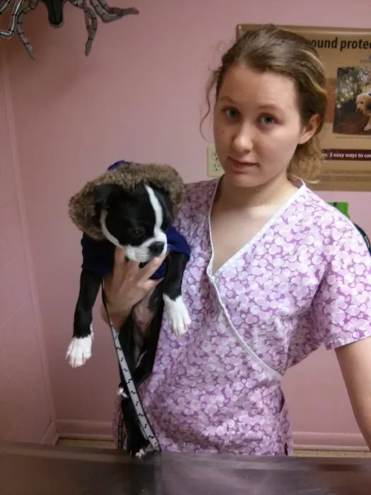Vetco Total Care Animal Hospital 9
