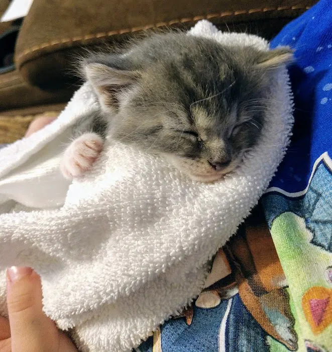 Banfield Pet Hospital 12