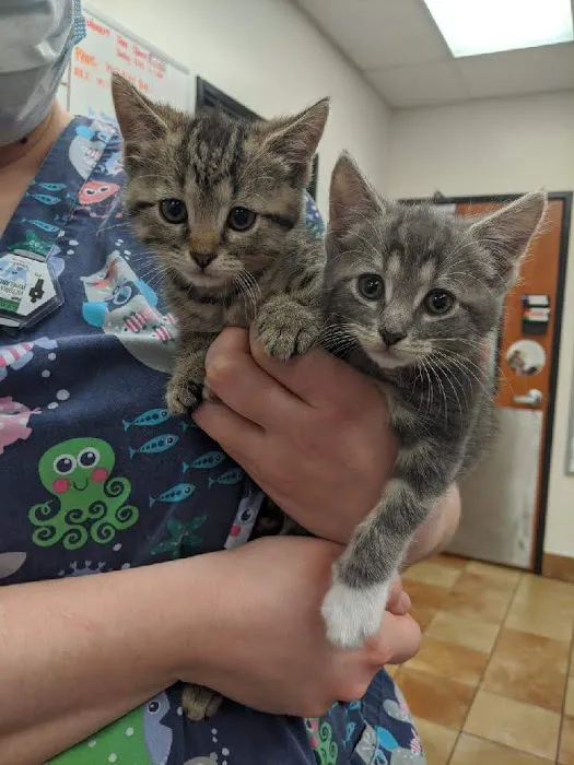 Banfield Pet Hospital 12