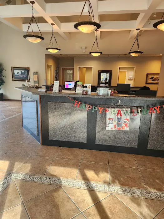 Animal Eye Care Associates 3