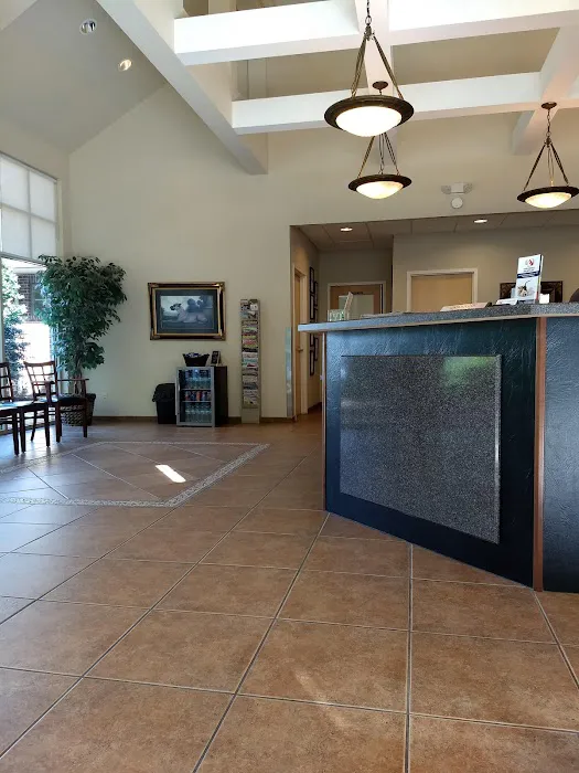 Animal Eye Care Associates 9