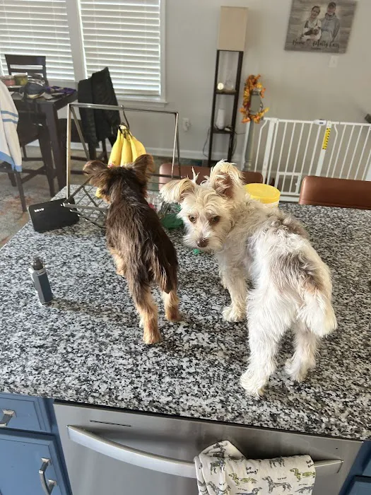 Peninsula Animal Referral Center 8