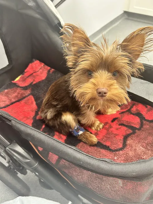 Peninsula Animal Referral Center 1