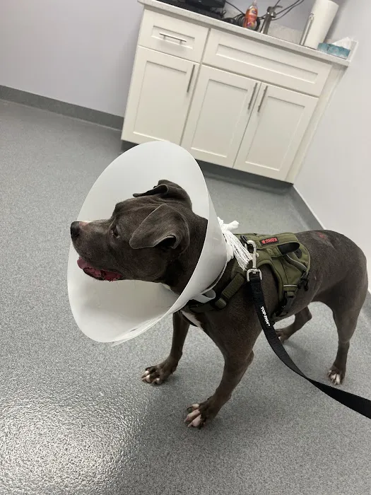 Peninsula Veterinary Clinic 12