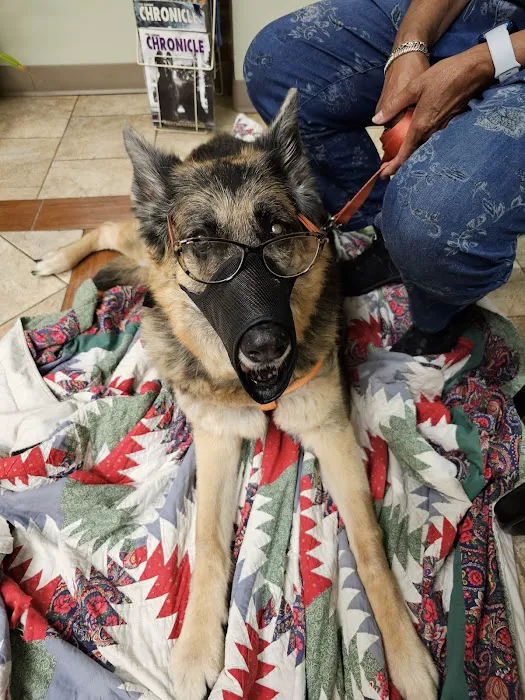 Peninsula Veterinary Clinic 12