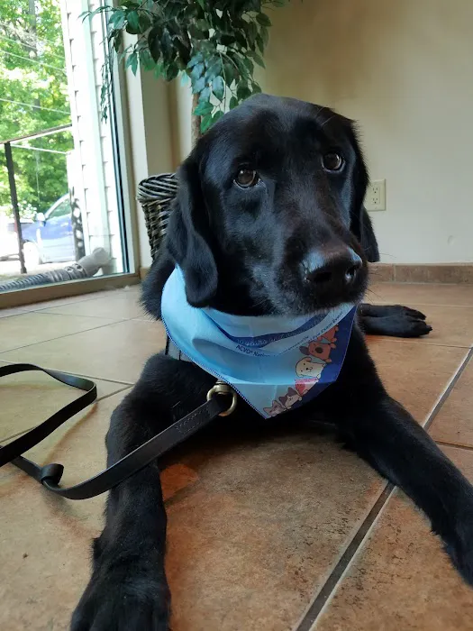 Bay Area Veterinary Surgery 12
