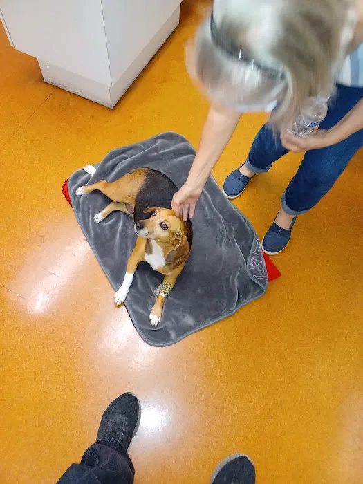 Bay Area Veterinary Surgery 12
