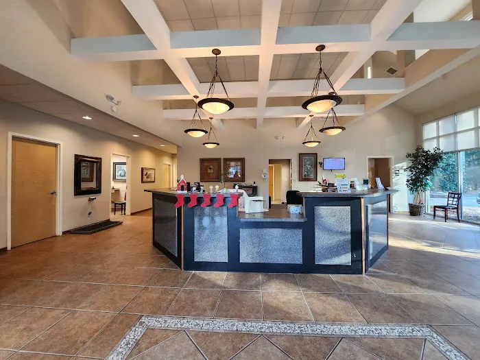 Bay Area Veterinary Surgery 12