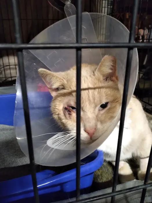 Hampton Roads Veterinary Procedures Center 10