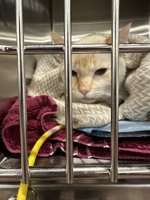 Hampton Roads Veterinary Procedures Center 9