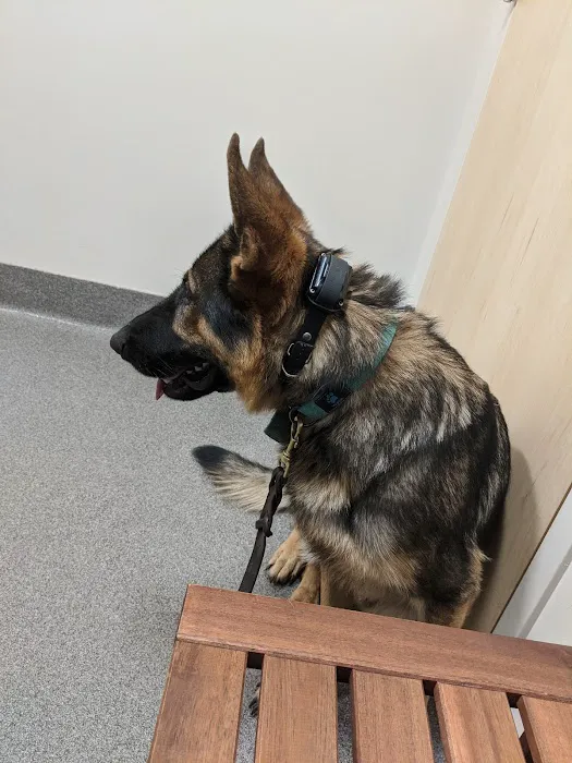 Ivor Veterinary Clinic 8