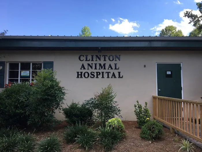 Clinton Animal Hospital 6