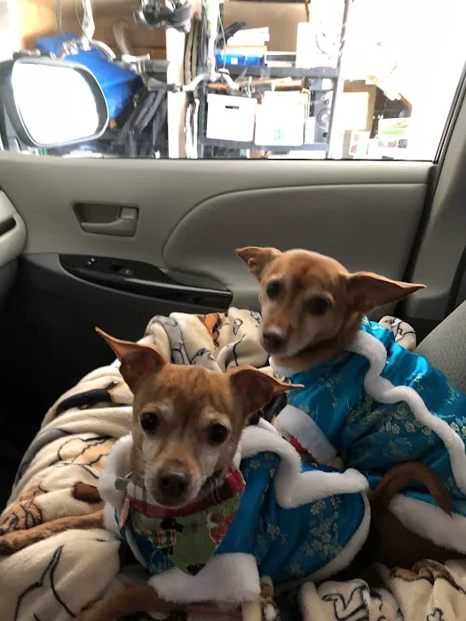 Animal Health Center-Franklin 4