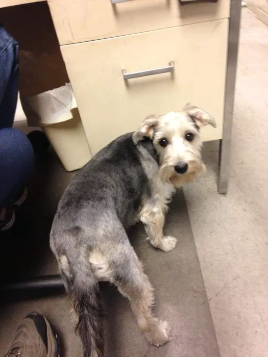 Animal Health Center-Franklin 9