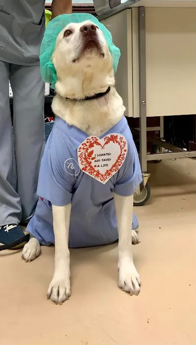 South Franklin Animal Hospital 2