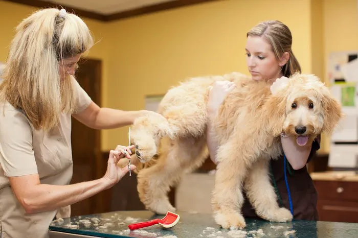 South Franklin Animal Hospital 4