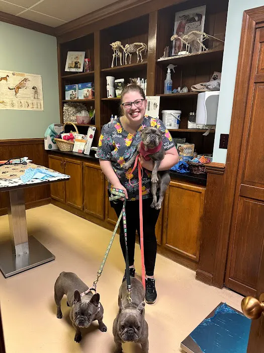 South Franklin Animal Hospital 6