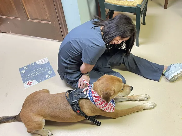 South Franklin Animal Hospital 8
