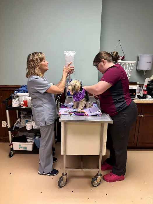 South Franklin Animal Hospital 5