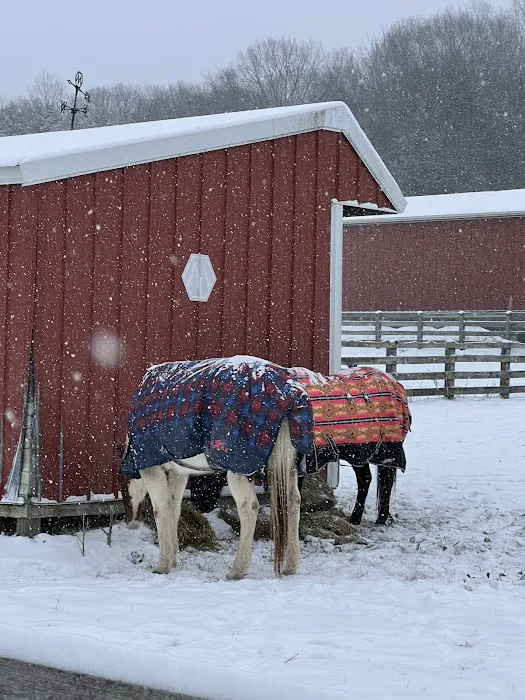 Tennessee Equine Hospital 2
