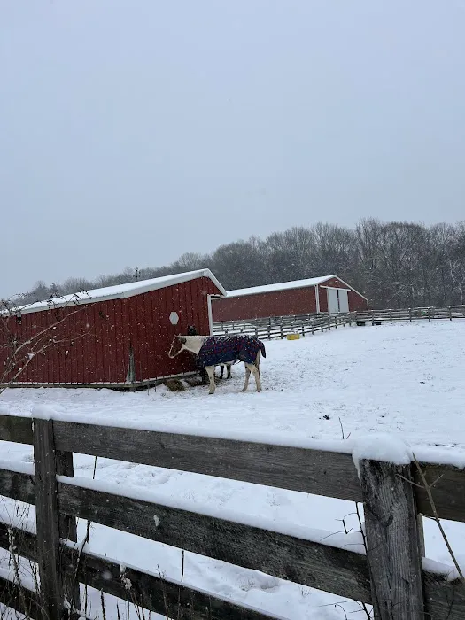 Tennessee Equine Hospital 1