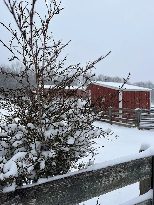 Tennessee Equine Hospital 4