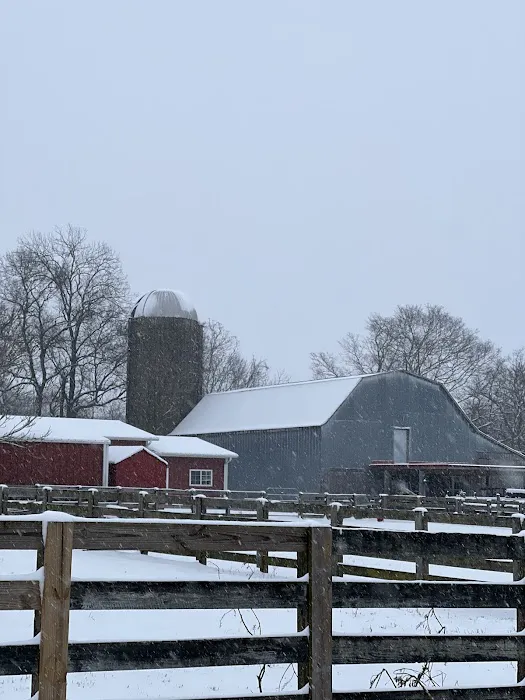 Tennessee Equine Hospital 3