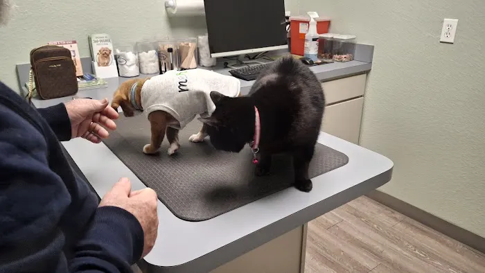 Startz Veterinary, PLLC 2