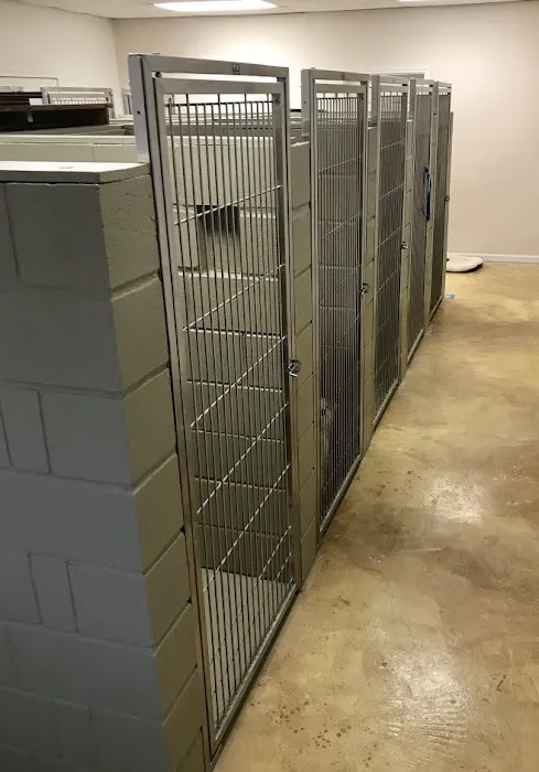 Startz Veterinary, PLLC 8