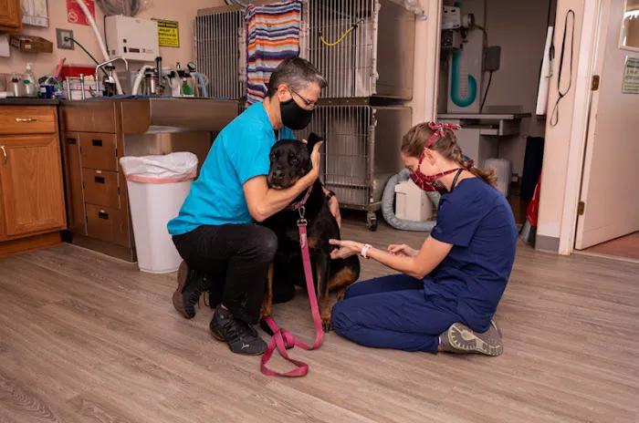 Startz Veterinary, PLLC 10
