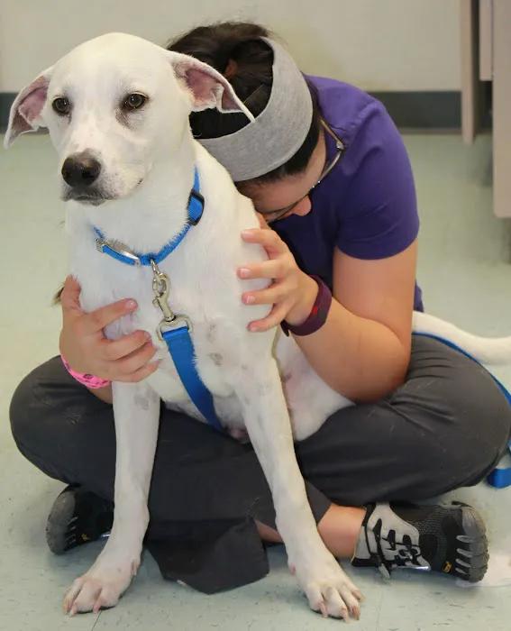 County Line Veterinary Clinic 10
