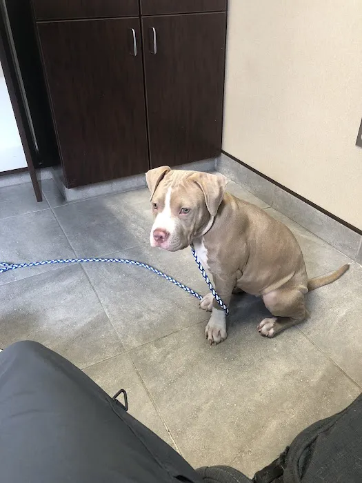 County Line Veterinary Clinic 7