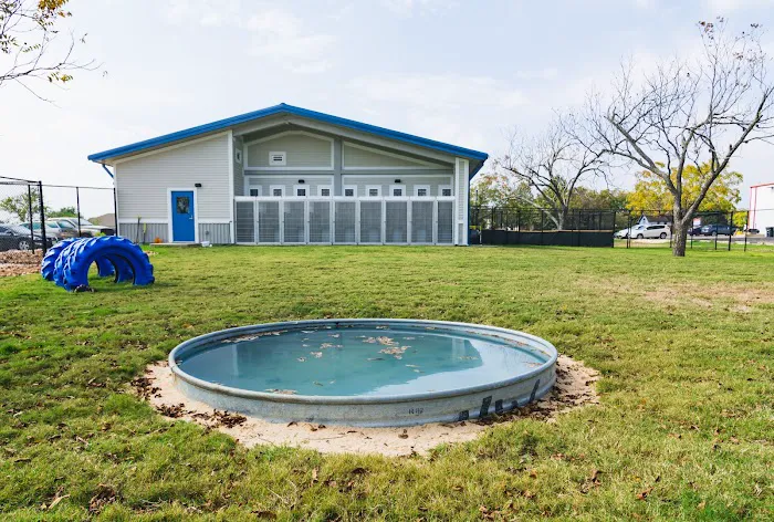 County Line Veterinary Clinic 5