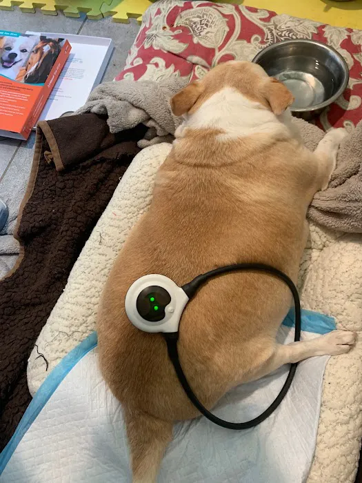 Infinite PawsAbilities 5