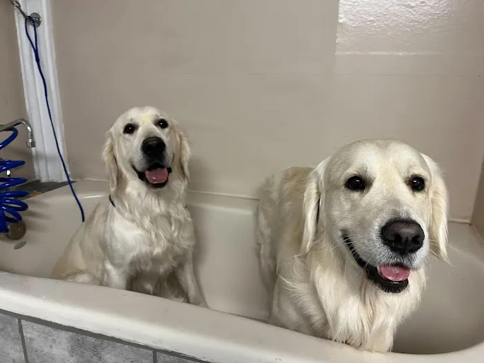 Pet's Choice Animal Hospital 1