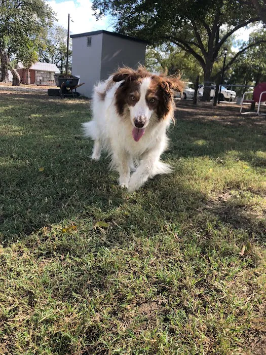 Pet's Choice Animal Hospital 7