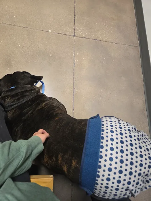 Thrive Pet Healthcare - New Braunfels 4