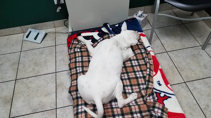 Fischer Veterinary Clinic 5
