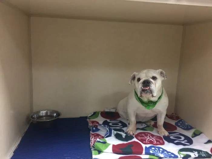 Creek View Veterinary Clinic, PLLC 8
