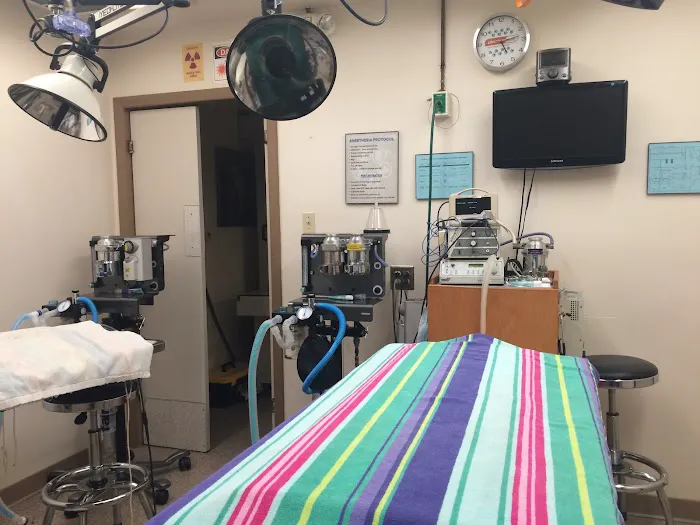 Creek View Veterinary Clinic, PLLC 6