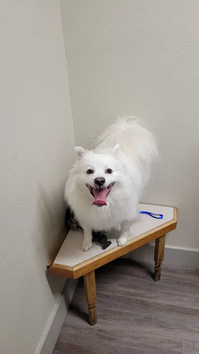 Creek View Veterinary Clinic, PLLC 4