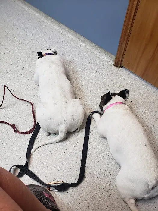 Conover Veterinary Hospital 6