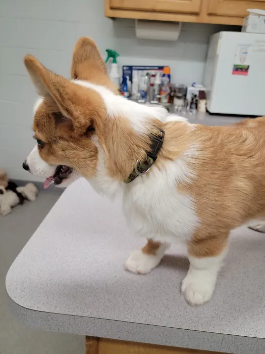 Conover Veterinary Hospital 8