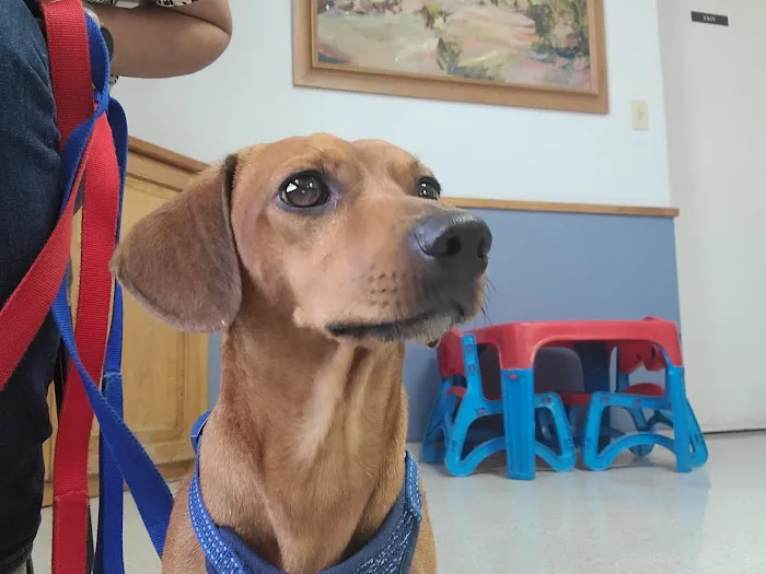 Conover Veterinary Hospital 9