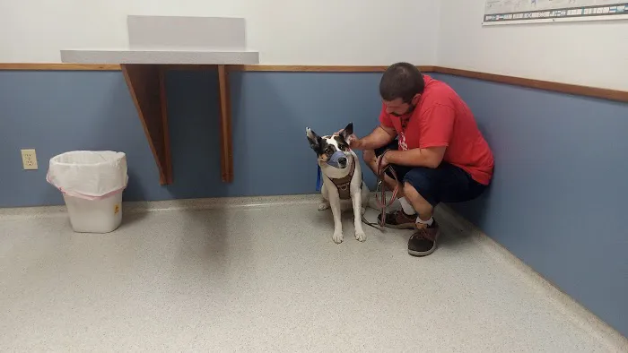 Conover Veterinary Hospital 3