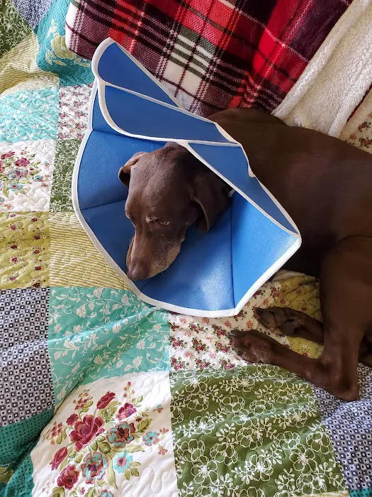 Conover Veterinary Hospital 4