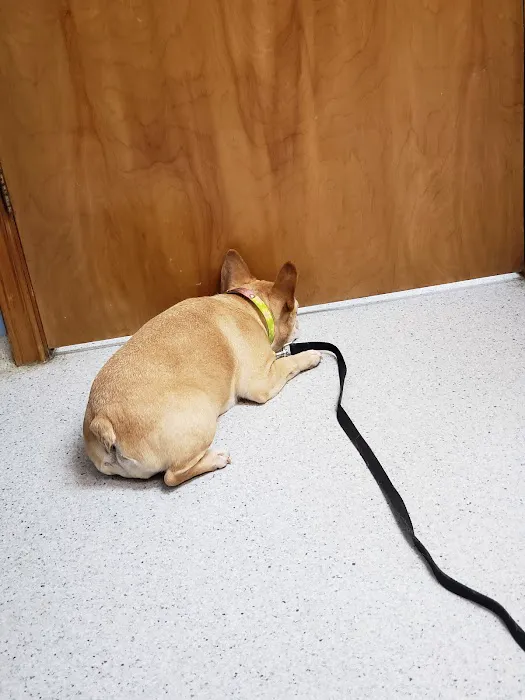 Conover Veterinary Hospital 1
