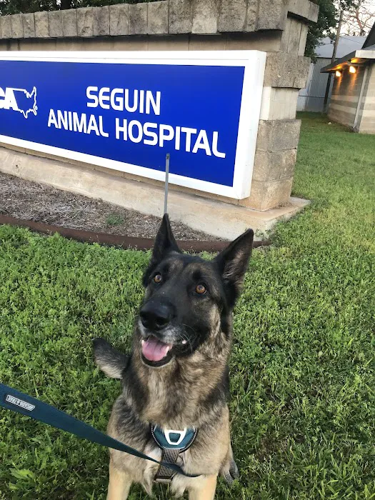 VCA Seguin Animal Hospital 10