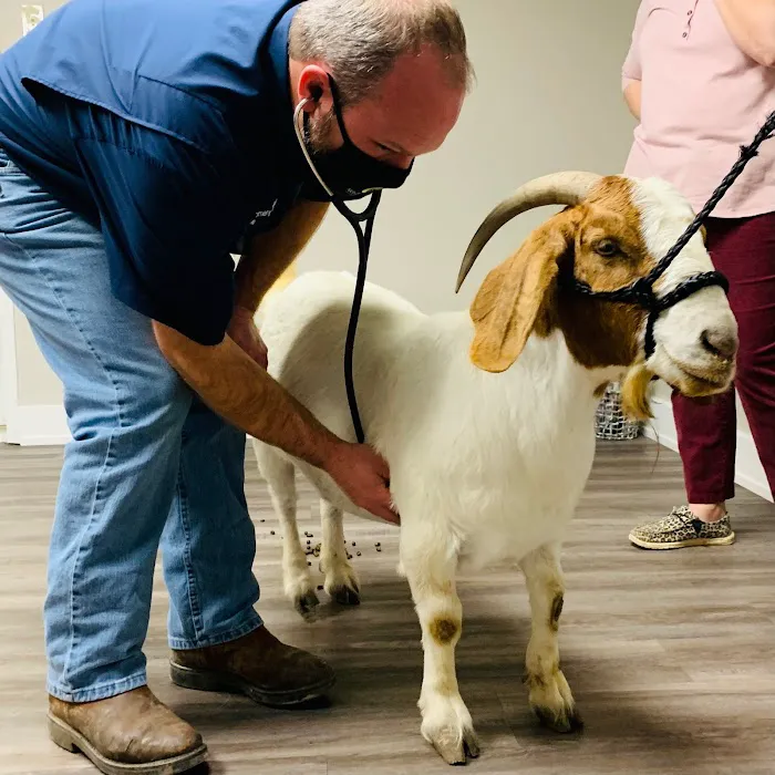 Southern Winds Veterinary Services 8