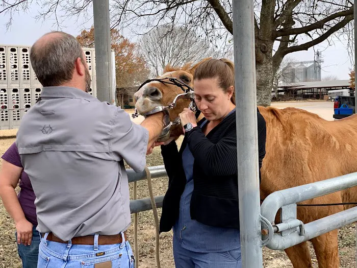 Southern Winds Veterinary Services 10